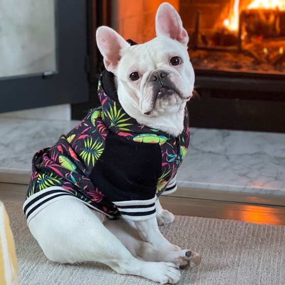 Meet your Posher, David - Picture 1 of 1